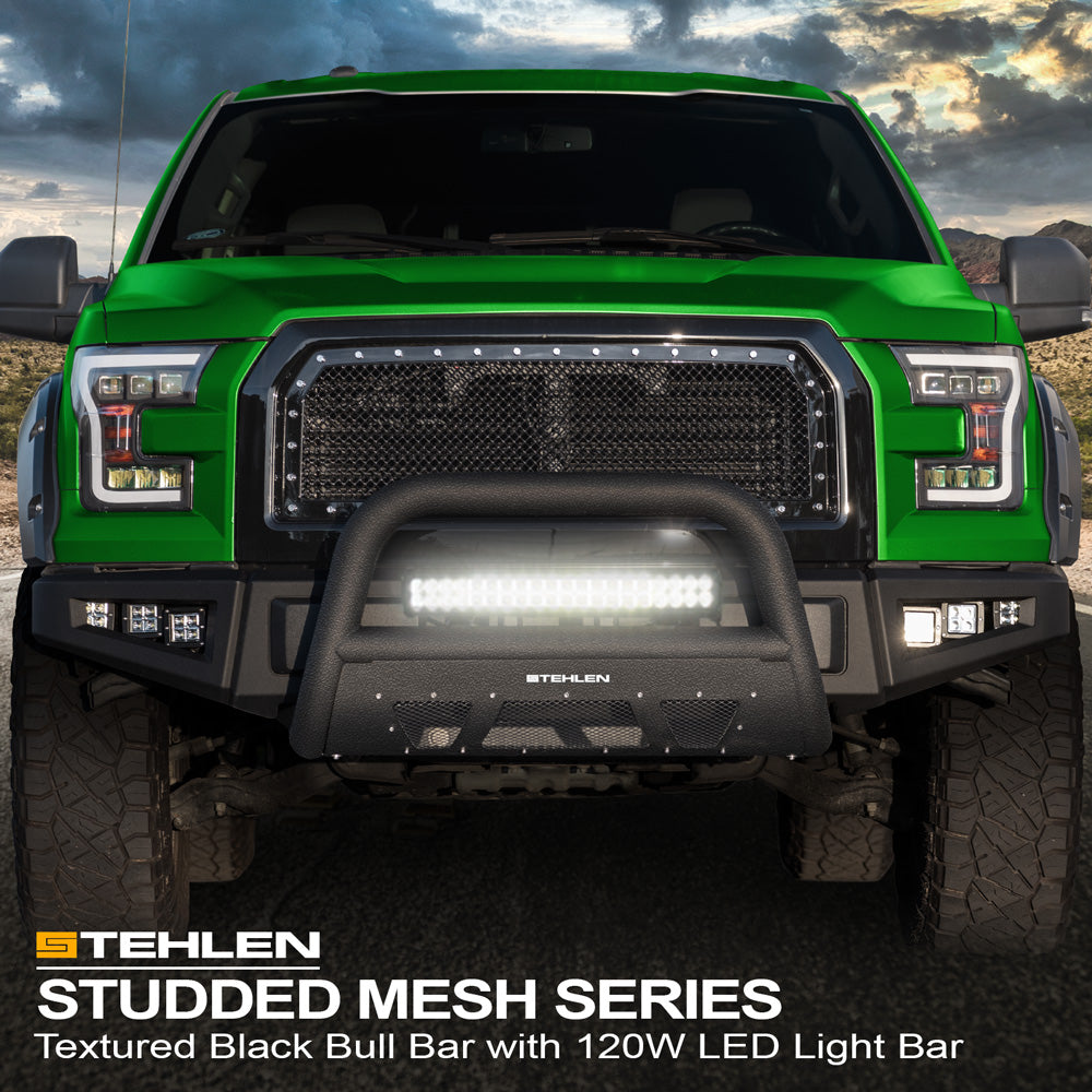 1997-2003 Ford F-150/F-150 Heritage/F-250 & Expedition Bull Guard Combo w/ LED Bar